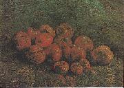 Vincent Van Gogh Still Life with Apples oil painting reproduction